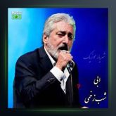 آهنگ شب زخمی از ابی