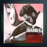 آهنگ غریبه از سیاوش قمصری