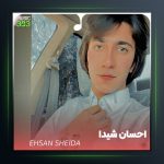 آهنگ دلدار از احسان شیدا