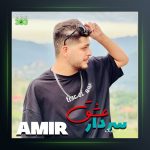 آهنگ سردار عشق از امیر چیتگر