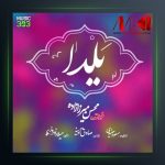 آهنگ یلدا از محسن میرزازاده