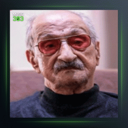 آهنگ برگ سبز 311 از عبدالوهاب شهیدی