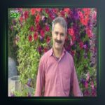 آهنگ سنه از عادل نادری