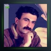 آهنگ سیروان غریبم از حمید حمیدی