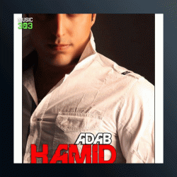 آهنگ دل بیچاره از حمید آداب