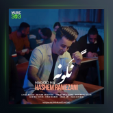 آهنگ نگو نه از هاشم رمضانی