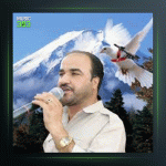 آهنگ جلی کوردی لی جوانه از اسماعیل سردشتی