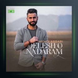 آهنگ دلشو ندارم از مهدی عسگری