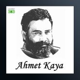 آهنگ Dogum Gunun Kutlu Olsun از احمد کایا