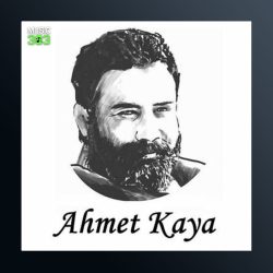 آهنگ Dogum Gunun Kutlu Olsun از احمد کایا