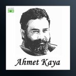 آهنگ Oy Havar از احمد کایا