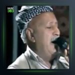 آهنگ نه‌رموله از صلاح داوود