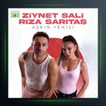 آهنگ Aşkın yenisi از زینت سالی
