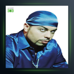 آهنگ fading beauty از دی جی علی گیتور