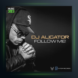 آهنگ تورو میخوام از دی جی علی گیتور